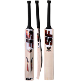 Buy SF Crown Kashmir Willow Cricket Bat SH Online in India at Best