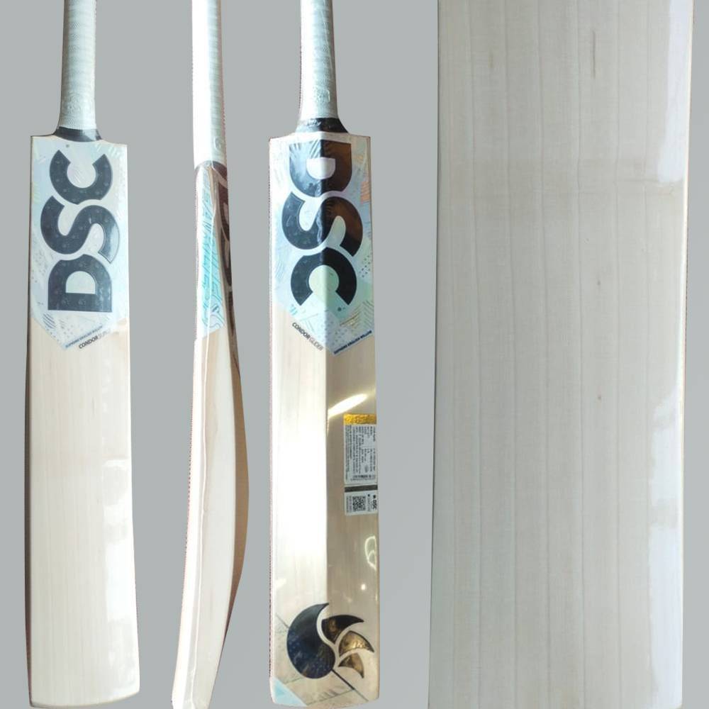 DSC Condor Surge English Willow Cricket Bat