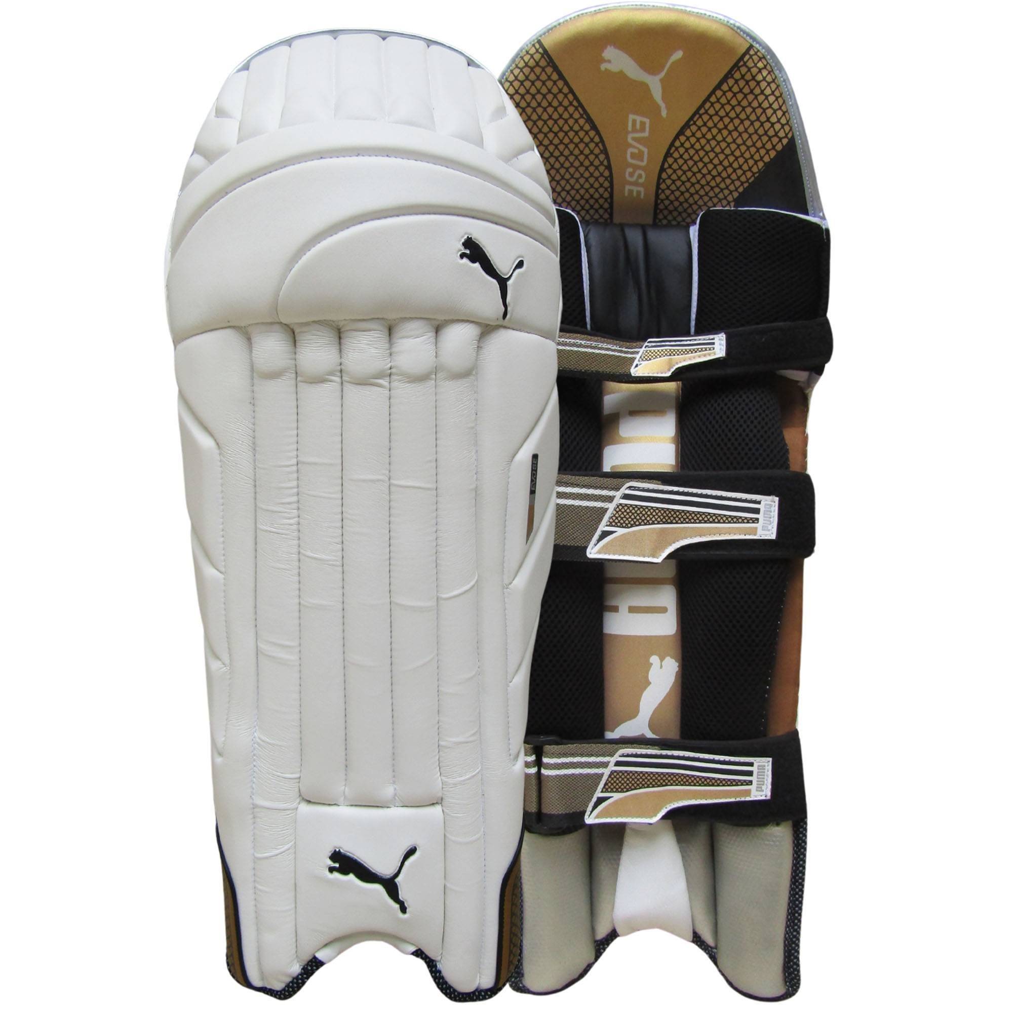 Puma EVOSE Cricket Batting Pads 