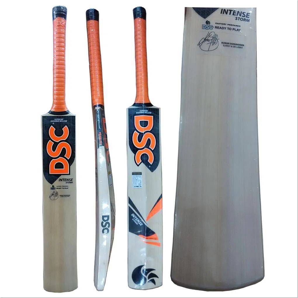 DSC Intense Storm Kashmir Willow Cricket Bat