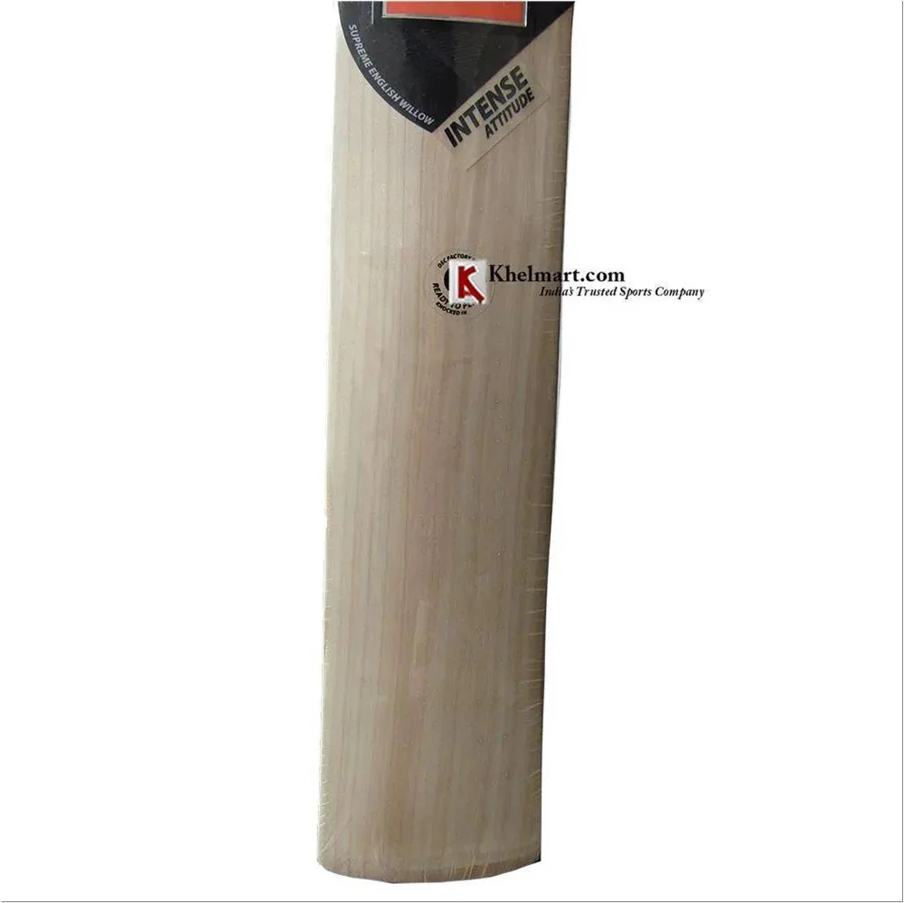 DSC Intense Attitude English Willow Cricket Bat