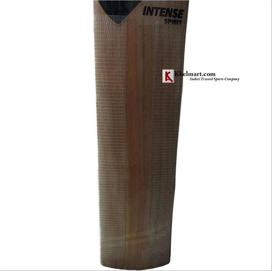DSC Intense Spirit Kashmir Willow English Bat