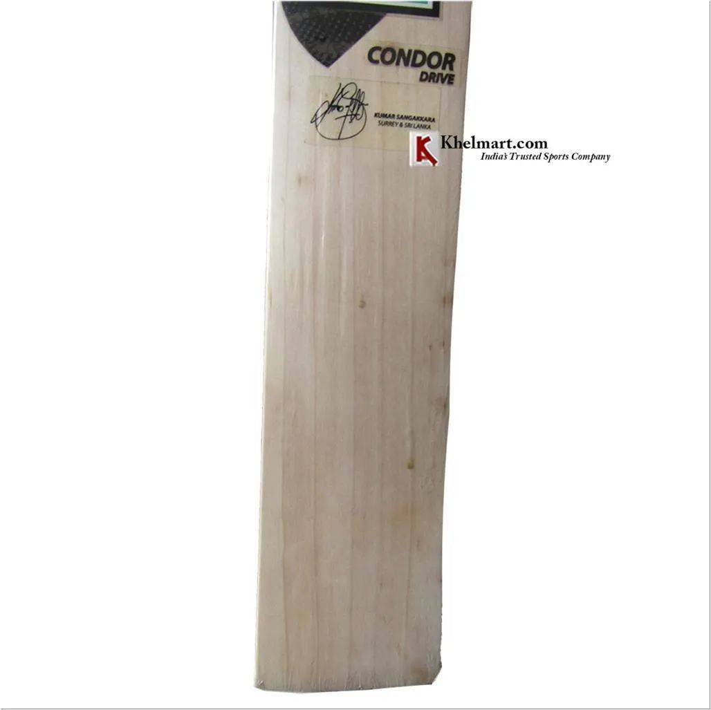 DSC Condor Drive English Willow Cricket Bat