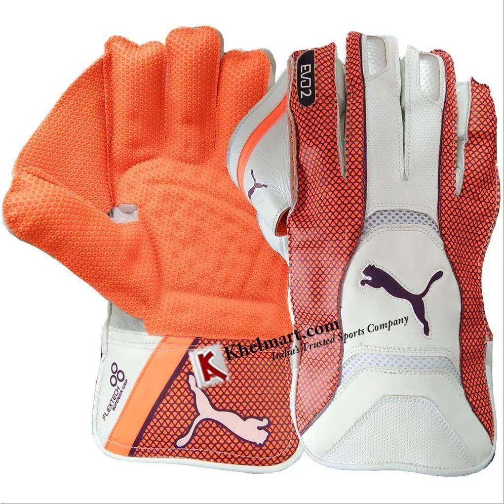 Puma Evo 2 Wicket Keeping Gloves