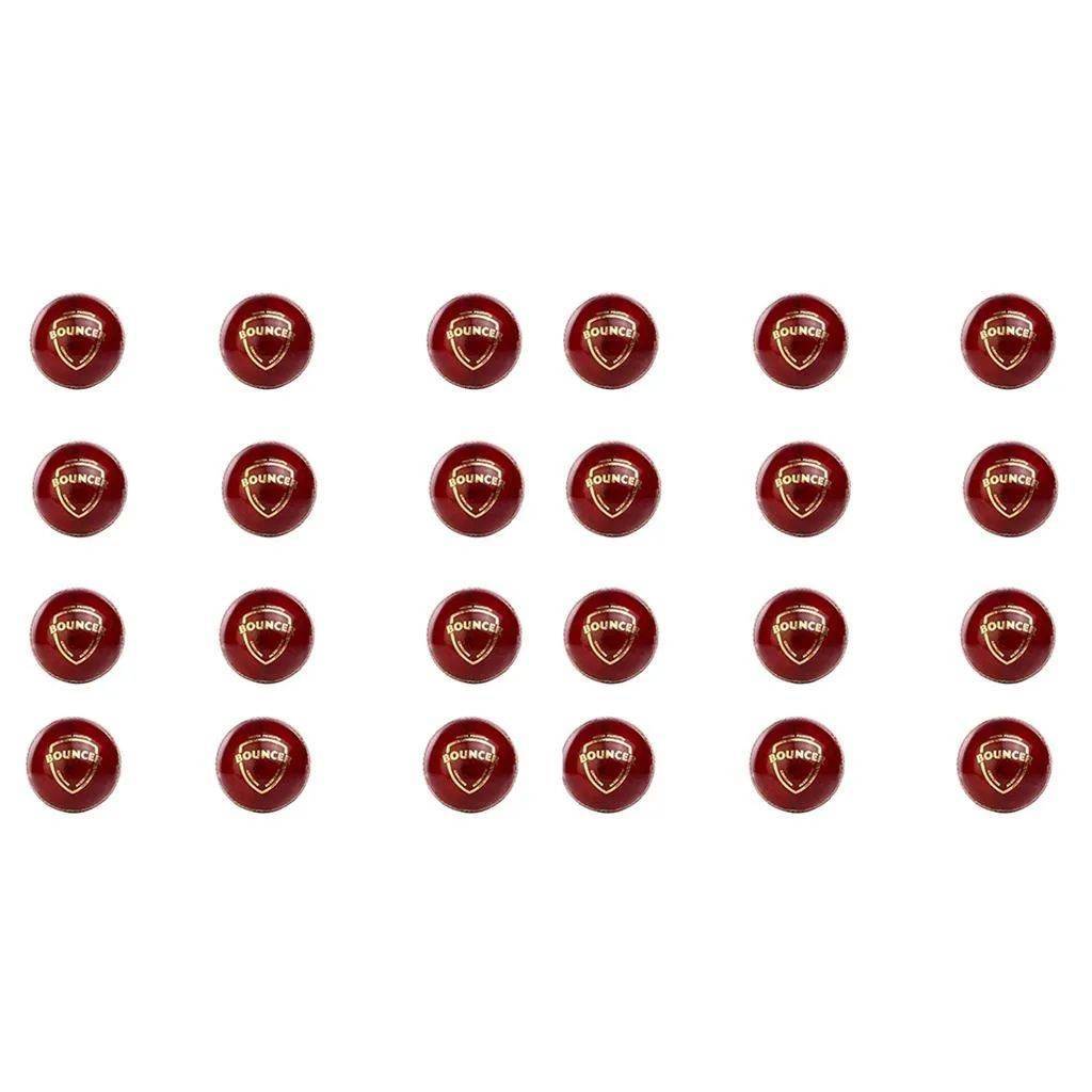 SG Bouncer Cricket Ball 24 Ball set