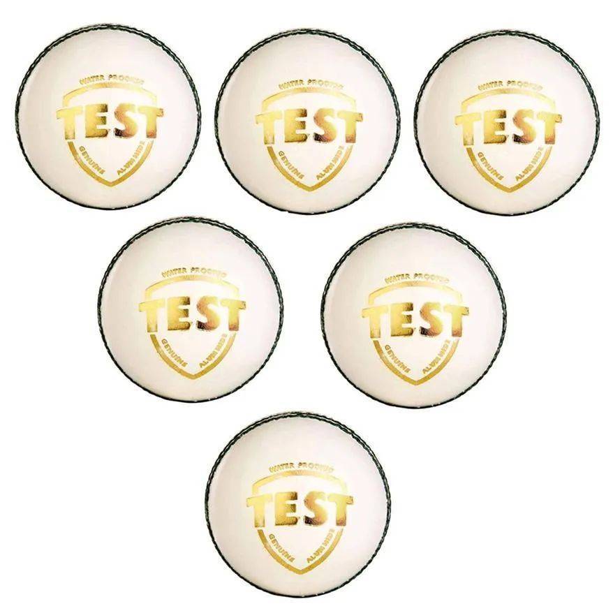 SG Test White Cricket Ball 6 Ball set