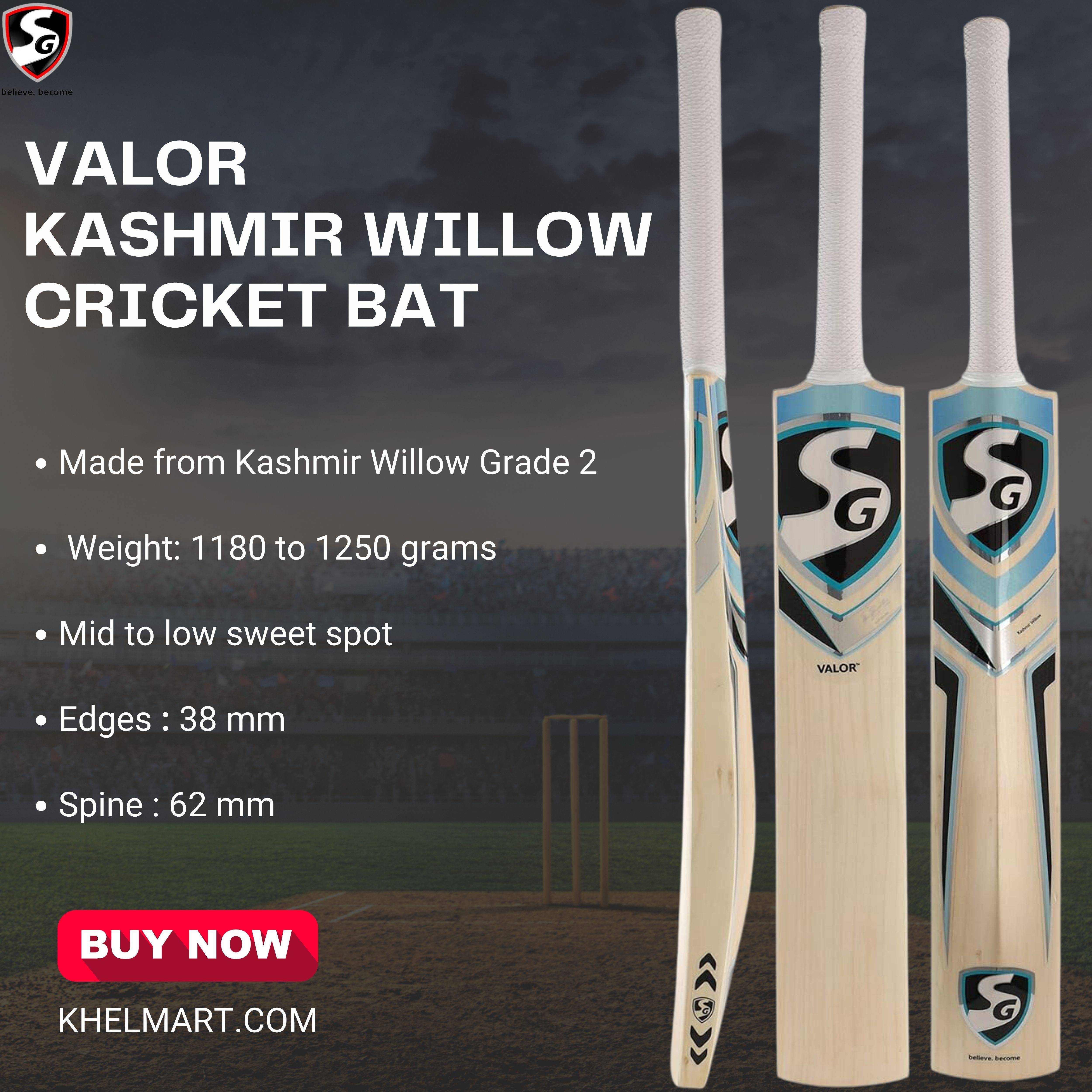 SG Valor Kashmir Willow Cricket Bat