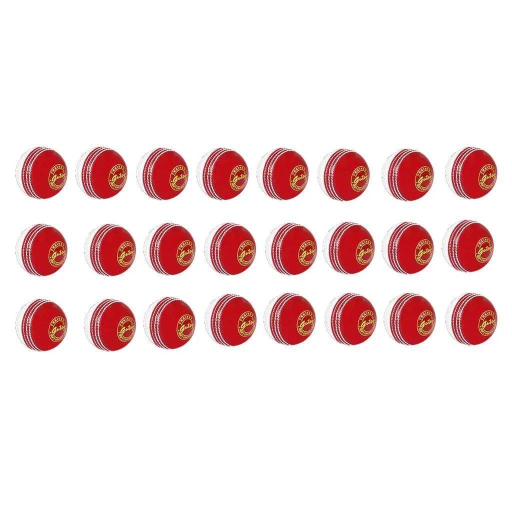 SS Incredi Soft Cricket Ball 24 Ball Set