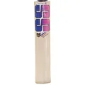 SS Sky BLASTER English Willow Cricket Bat SH