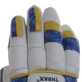Thrax Flicker players Cricket Batting Gloves 