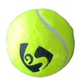 SG Club lite Cricket Balls  set of 2 Canes Yellow Colour 