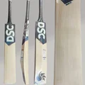 DSC Blak 350 English Willow Cricket Bat