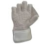 SF Test Cricket Wicket Keeping Gloves