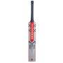 Gray Nicolls Delta Limited Edition 3.0 English Willow Cricket Bat 