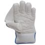 SG RSD Xtreme Wicket Keeping Gloves Blue