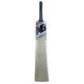 New Balance TC 500 i English Willow Cricket Bat (Standard Size Short Handle)
