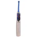 SS GG Smacker Hulk Kashmir Willow Cricket Bat (Standard Size Short Handle)
