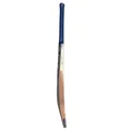 SG HP SPARK Kashmir Willow Cricket Bat