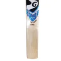 SG RSD Spark Kashmir Willow Cricket Bat (Standard Size Short Handle)