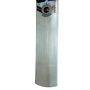 SS Gladiator Kashmir Willow Cricket Bat (Standard Size Short Handle)