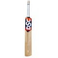 DSC Krunch 55 Kashmir Willow Cricket Bat (Standard Size Short Handle)