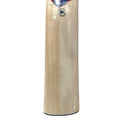 DSC Krunch 88 Kashmir Willow Cricket Bat
