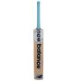 New Balance TC 200i Kashmir Willow Cricket Bat SH