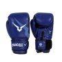 Invincible Extreme Competition Boxing Gloves Approved by IABF