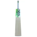 DSC Split Player Edition English Willow Cricket Bat (Standard Size Short Handle)