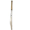 SS Ton Legend English Willow Cricket Bat (Standard Size Short Handle)