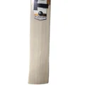 SS Ton Legend English Willow Cricket Bat (Standard Size Short Handle)