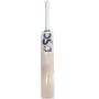DSC Condor Glider English Willow Cricket Bat