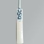 DSC Condor Surge English Willow Cricket Bat