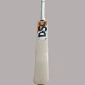 DSC Krunch 1.0 English Willow Cricket Bat