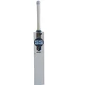 SS Gunther English Willow Cricket Bat (Standard Size Short Handle)