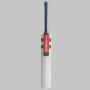 Gray Nicolls Gold Edition 2.0 English Willow Cricket Bat Size SH