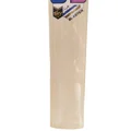 SS Sky BLASTER English Willow Cricket Bat SH