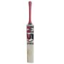 SM Stunner English Willow Cricket Bat Standard Size