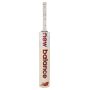 New Balance TC 470 Kashmir-Willow Cricket Bat