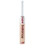 New Balance TC 370 Kashmir Willow Cricket Bat