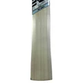 New Balance TC 500 i English Willow Cricket Bat (Standard Size Short Handle)