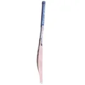 SS Sky Player Kashmir Willow Cricket Bat (Standard Size Short Handle)