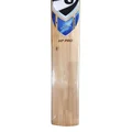SG HP Pro Kashmir Willow Cricket Bat (Junior Short Handle)