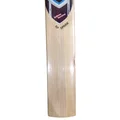 SG RP Spark Kashmir Willow Cricket Bat (Standard Size Short Handle)