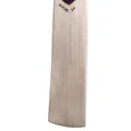 SG X LSG 2.0 Cricket Bat (Standard Size Short Handle)