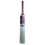 SS Gladiator Kashmir Willow Cricket Bat (Standard Size Short Handle)