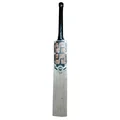 SS Premium Bronze Kashmir Willow Cricket Bat (Standard Size Short Handle)