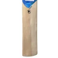 DSC BLU 99 Kashmir Willow Cricket Bat (Standard Size Short Handle) 
