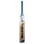 New Balance TC 200i Kashmir Willow Cricket Bat