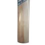 NB TC 300i Pro Kashmir Willow Cricket Bat